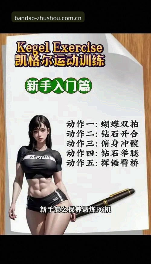 揭秘半岛体育最新版本：新手必看的深度体验与操作指南
